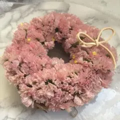 2026年最新】スターチスの人気アイテム - メルカリ