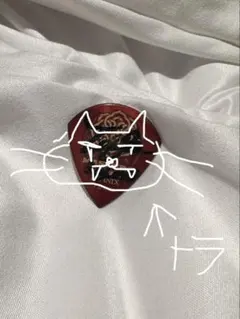 2025年最新】シンガーズハイ ピックの人気アイテム - メルカリ