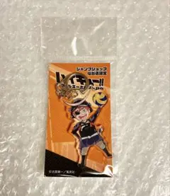 【未開封】ハイキュー!! ジャンプショップ仙台店限定 アクリルキーホルダー 日向
