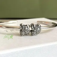 Trollbeads Pinecones bead 2pcs set