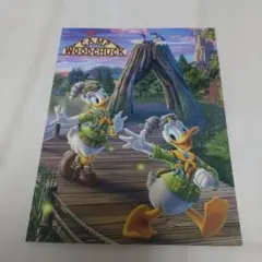 東京ディズニーランド フォト台紙　 ドナルドダック写真付