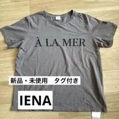 【新品未使用】IENA Tシャツ グレー フリーサイズ　タグ付きのサムネイル