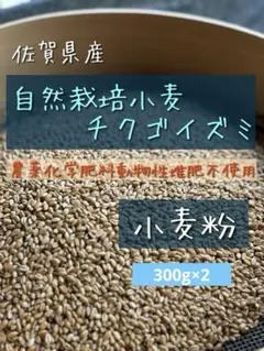 自然栽培小麦粉 300g×2 チクゴイズミ 佐賀県産のサムネイル