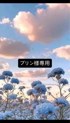 白猫と黒猫 フィギュアセット 鳥かご付き 起き上がりこぼし