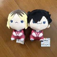 ハイキューぬいぐるみセット（黒尾、研磨）