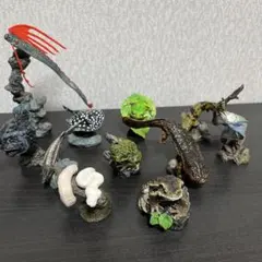 いきもの大図鑑　ガチャガチャ　まとめ売り