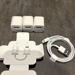 iPhone 充電器 純正 正規品