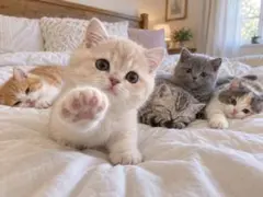 猫 デジタルアート 写真