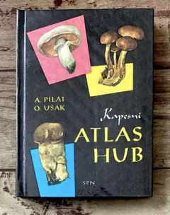 Item thumbnail for item 394607f4-d260-4bf2-bead-c04117e6d466