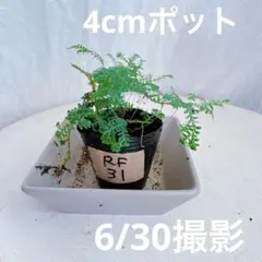 となみ様 リクエスト 5点 まとめ商品