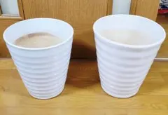 陶器鉢②(陶器鉢)(鉢)(観葉植物)(胡蝶蘭)(植物)(花)(プランター)