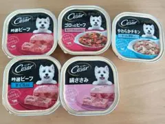【新品未使用】Cesar シーザー ドッグフード 5個セット