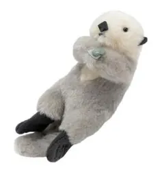 Item thumbnail for item 10c5bd9d-72f0-45c4-ab00-5c5d6521a584