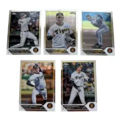 topps & chrome 2023 阪神　まとめ売り