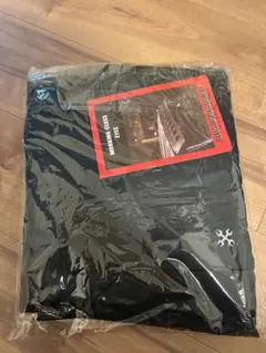 DENIM WORK PANTS デニム ワークパンツ　BLUCO 新品