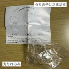 うちの子のけだまだま 丸たれみみ カプセルトイ