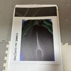 新作　COMME des GARCONS コムデギャルソン カタログ　DM