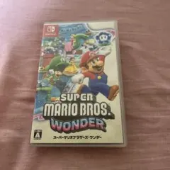 SUPER MARIO BROS. WONDER ケースのみ