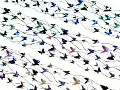 切売 1635★ 海外 マスキングテープ マステ PET 装飾 蝶 贝壳光