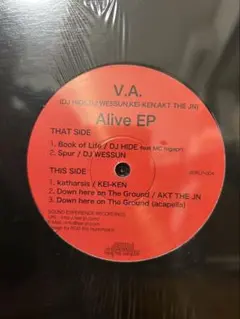 2025年最新】hide ALIVE theの人気アイテム - メルカリ