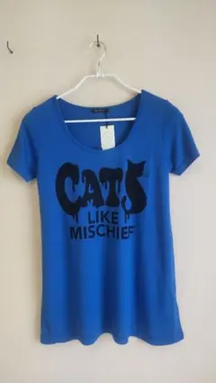 Item thumbnail for item 2d8cecaa-d4ca-4221-84e6-b6c1a0e56b8c