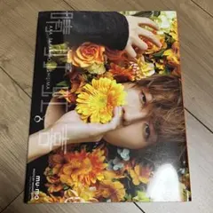 AAA 10th anniversary book 西島隆弘ver - メルカリ