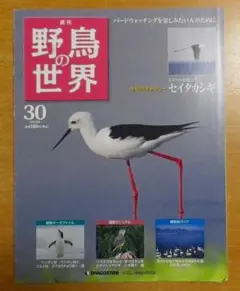 2025年最新】週刊 野鳥の世界の人気アイテム - メルカリ