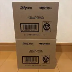 フィギュア◇ヴェーネス エメトセルク ヒュトロダエウス 新品未開封