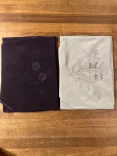 Item thumbnail for item 1fff488f-0696-42c0-bfe6-6e3c808def35