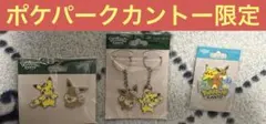 ポケセン トウホク 東北 ピカチュウ 七夕 ストラップ イヤホンジャック