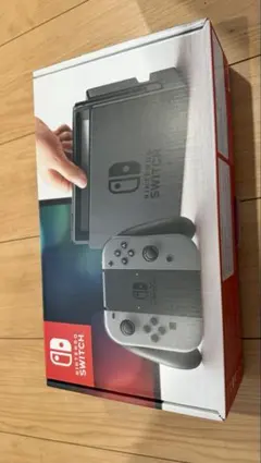 Nintendo Switch グレー 本体と付属品＋コントローラーや充電器