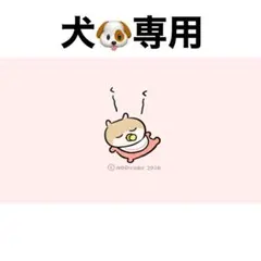 犬専用