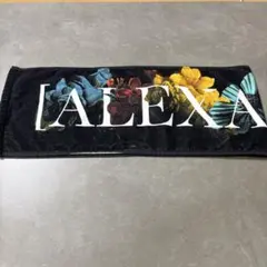 Item thumbnail for item 4f968840-3235-41de-9de0-e892de2b0692