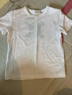 Item thumbnail for item 9d49057f-2cd0-482b-a14e-5109e5dd83f4