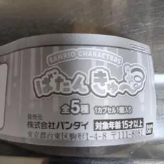 サンリオキャラクターズ