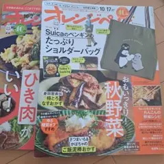 オレンジページ2冊セット　10/2.１０/17 ひき肉料理特集