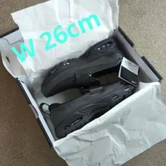 エアマックス フェノメナ W US9 26cm