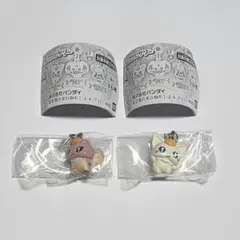 プリキュア プチキュア めじるしアクセサリー　ここ　なっつ　セット