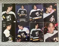 SEVENTEEN 2025 HOME トレカ　ディノ　 コンプ