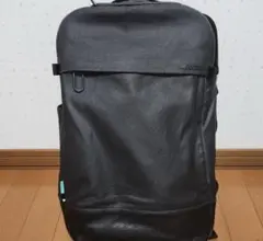 Item thumbnail for item 9dc4c24a-2766-4739-bef1-6f1569ea32e5