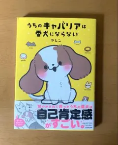 うちのキャバリアは番犬にならない
