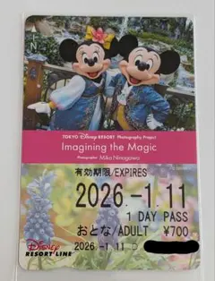 ディズニー リゾートライン フリーきっぷ イマジニングザマジック