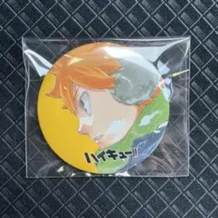 ハイキュー　コレクション缶バッジ　日向