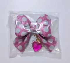 ディズニー パルパルーザ キーチェーン