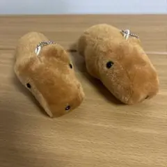 アクアトト岐阜　カピバラ　ぬいぐるみ