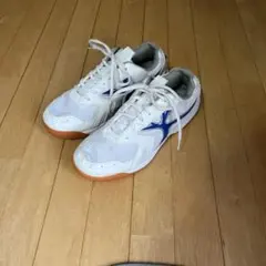 体育シューズ ホワイト/ブルー 24.5
