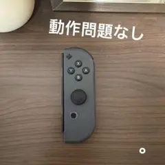 NintendoSwitch ジョイコン グレR