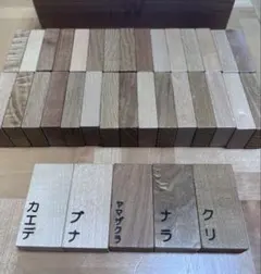 木製積み木 5種セット カエデ ブナ ヤマザクラ ナラ クリ 知育玩具のサムネイル