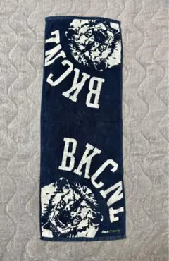 Item thumbnail for item 6ca09018-8466-43fc-a85d-0e5e01c7d320