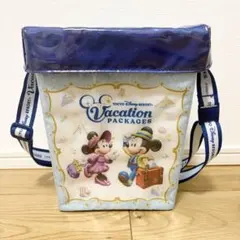 ディズニー　バケパ　ポップコーンバケット　ケースのサムネイル